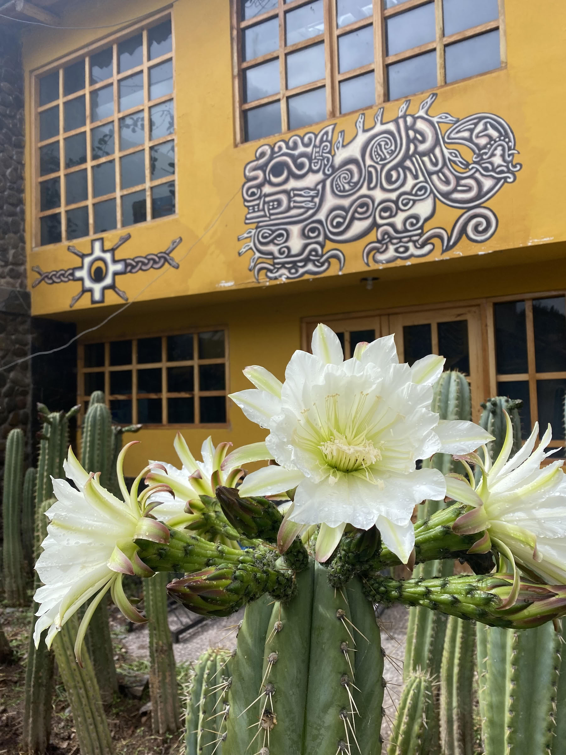 San Pedro-ceremonie