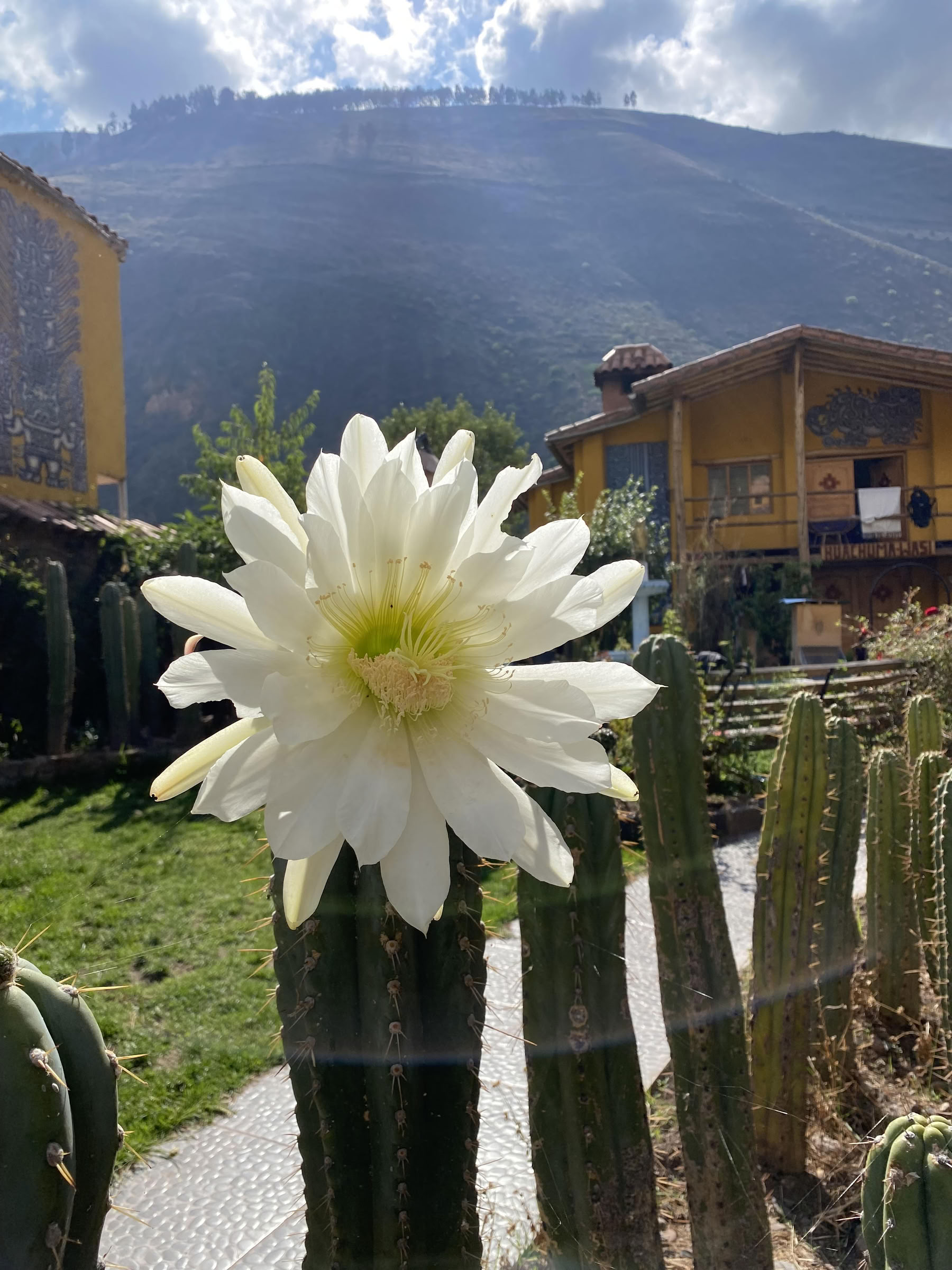 San Pedro-ceremonie