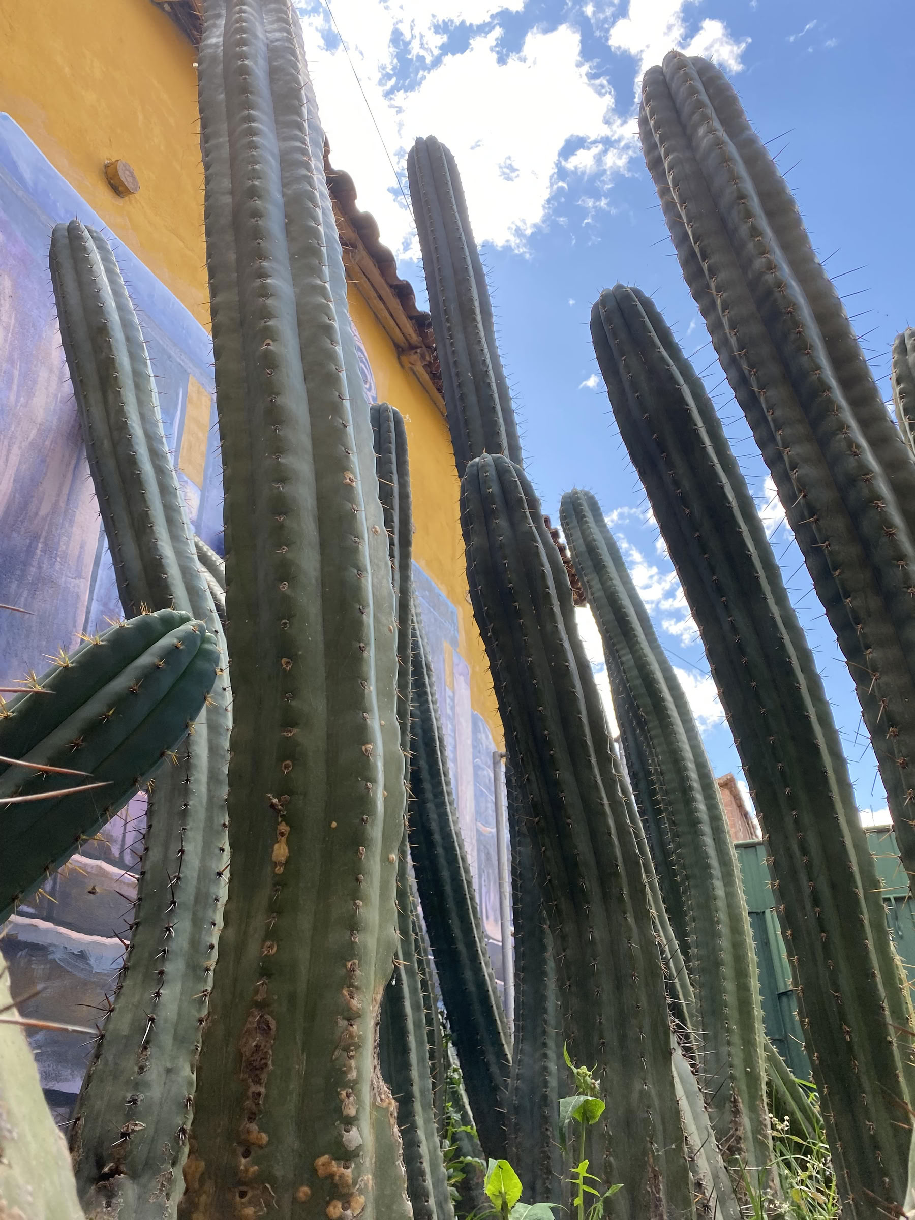 San Pedro-ceremonie