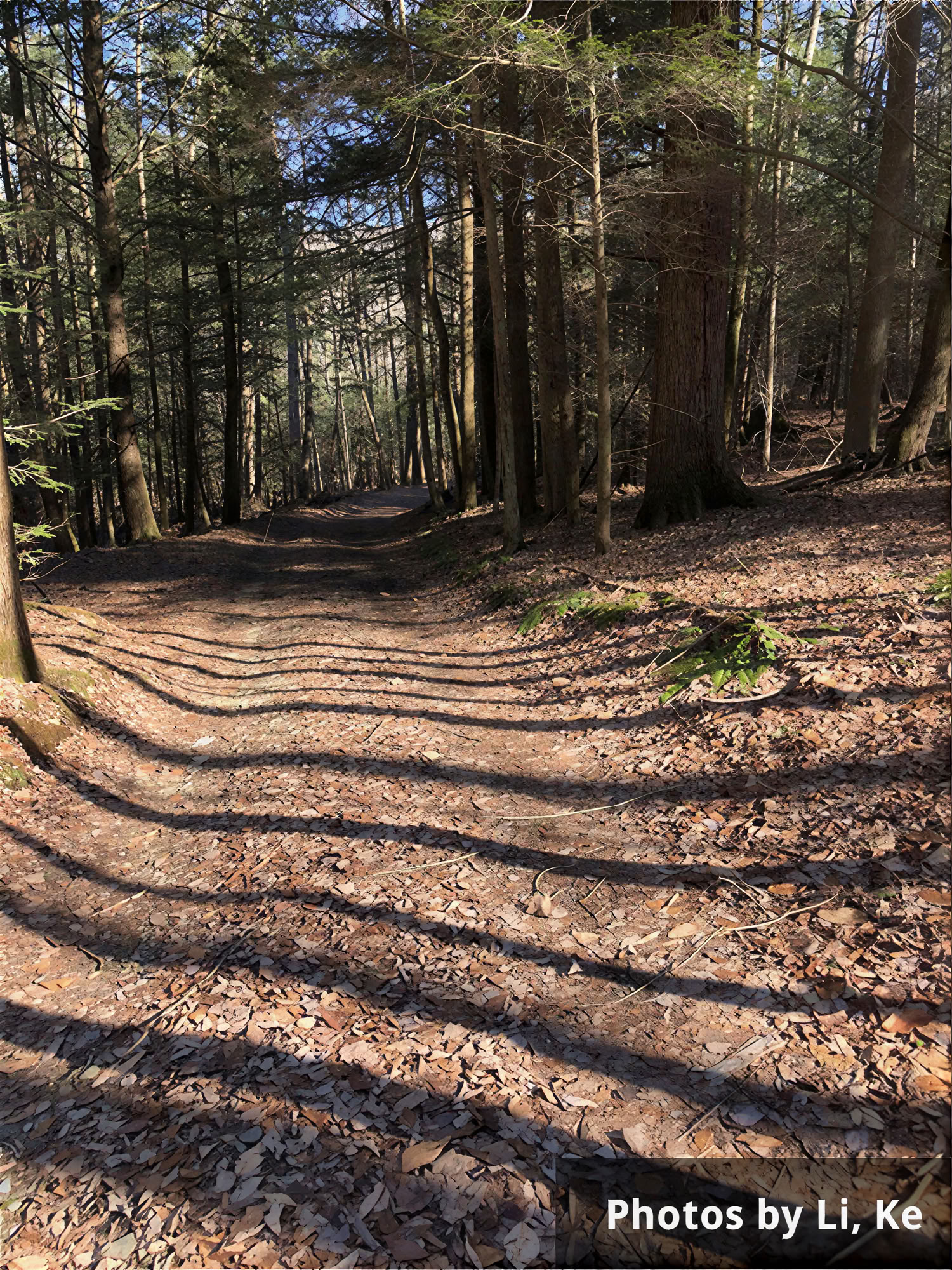 Winterse helingsretreat voor helers