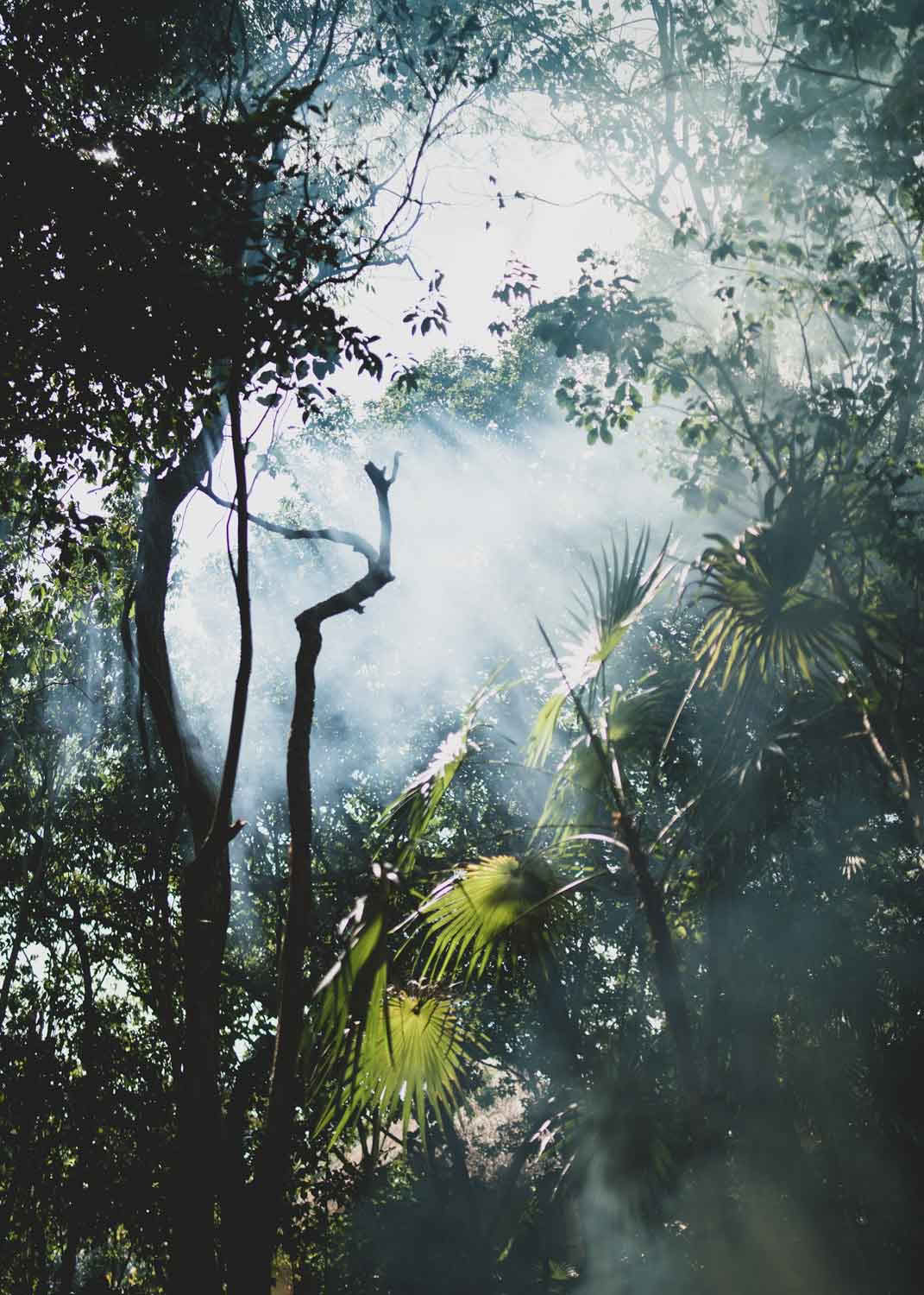 Heilige Flow-retreat – 21 t/m 28 november