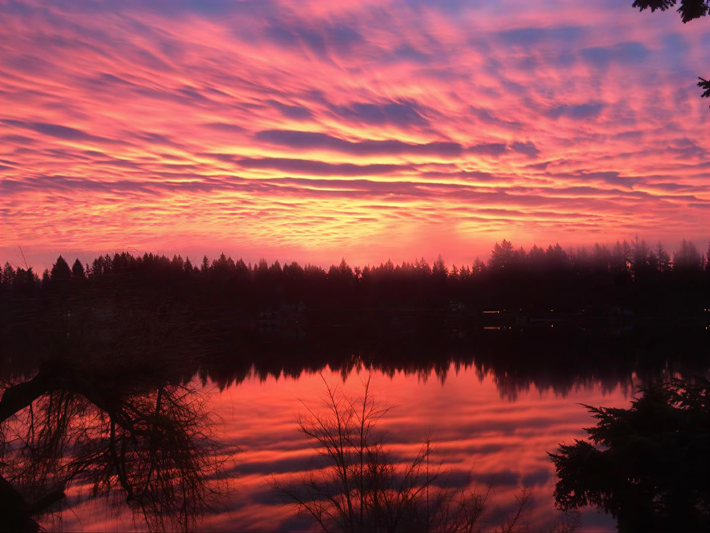 Spiritueel retraite in Cottage Lake Bed and Breakfast