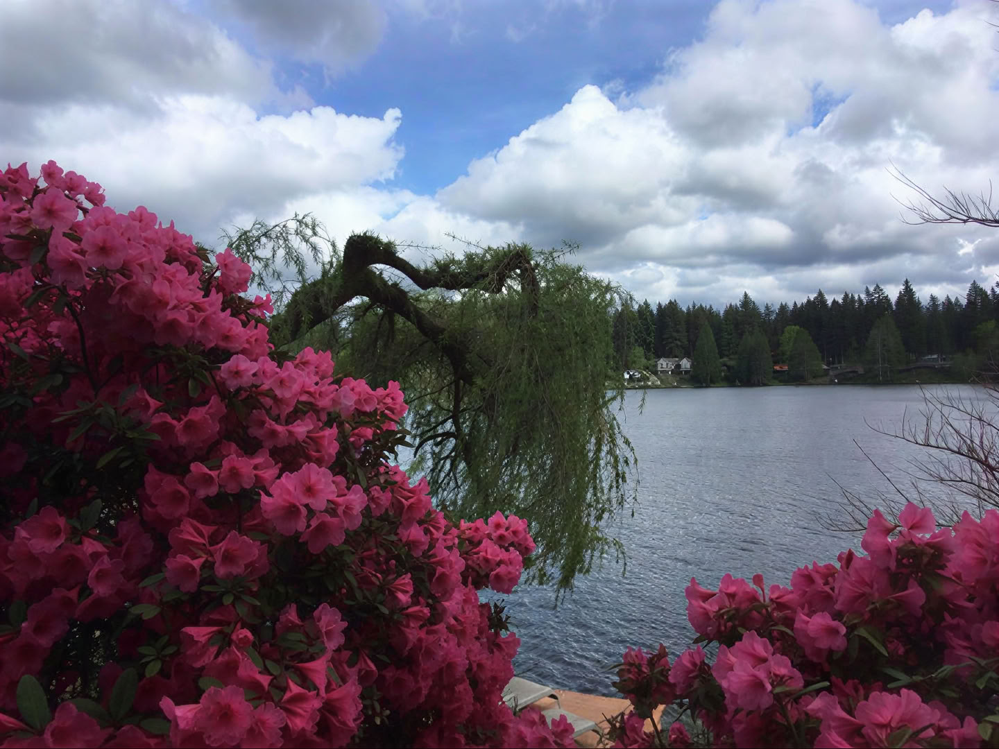 Spiritueel retraite in Cottage Lake Bed and Breakfast