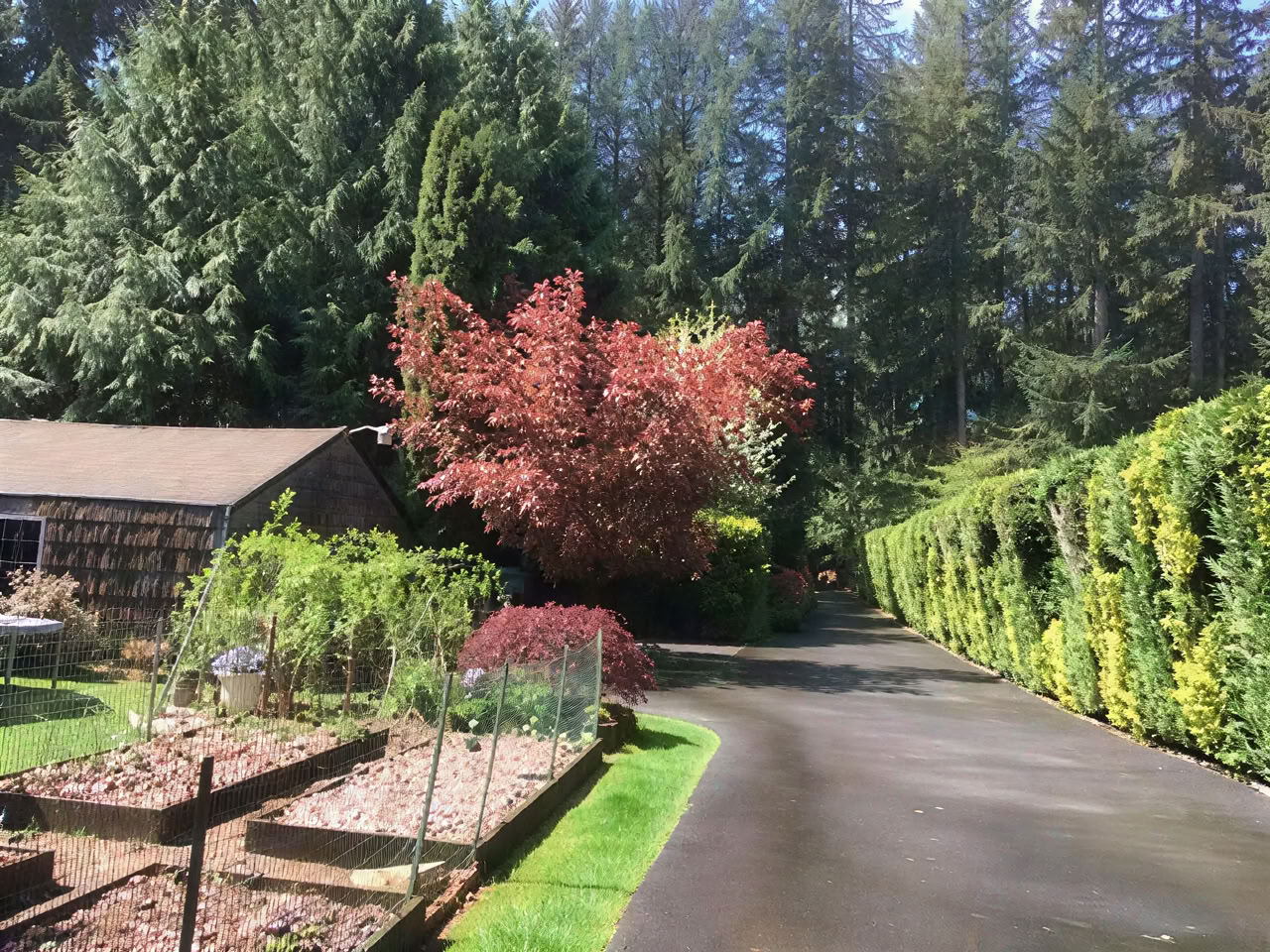 Spiritueel retraite in Cottage Lake Bed and Breakfast