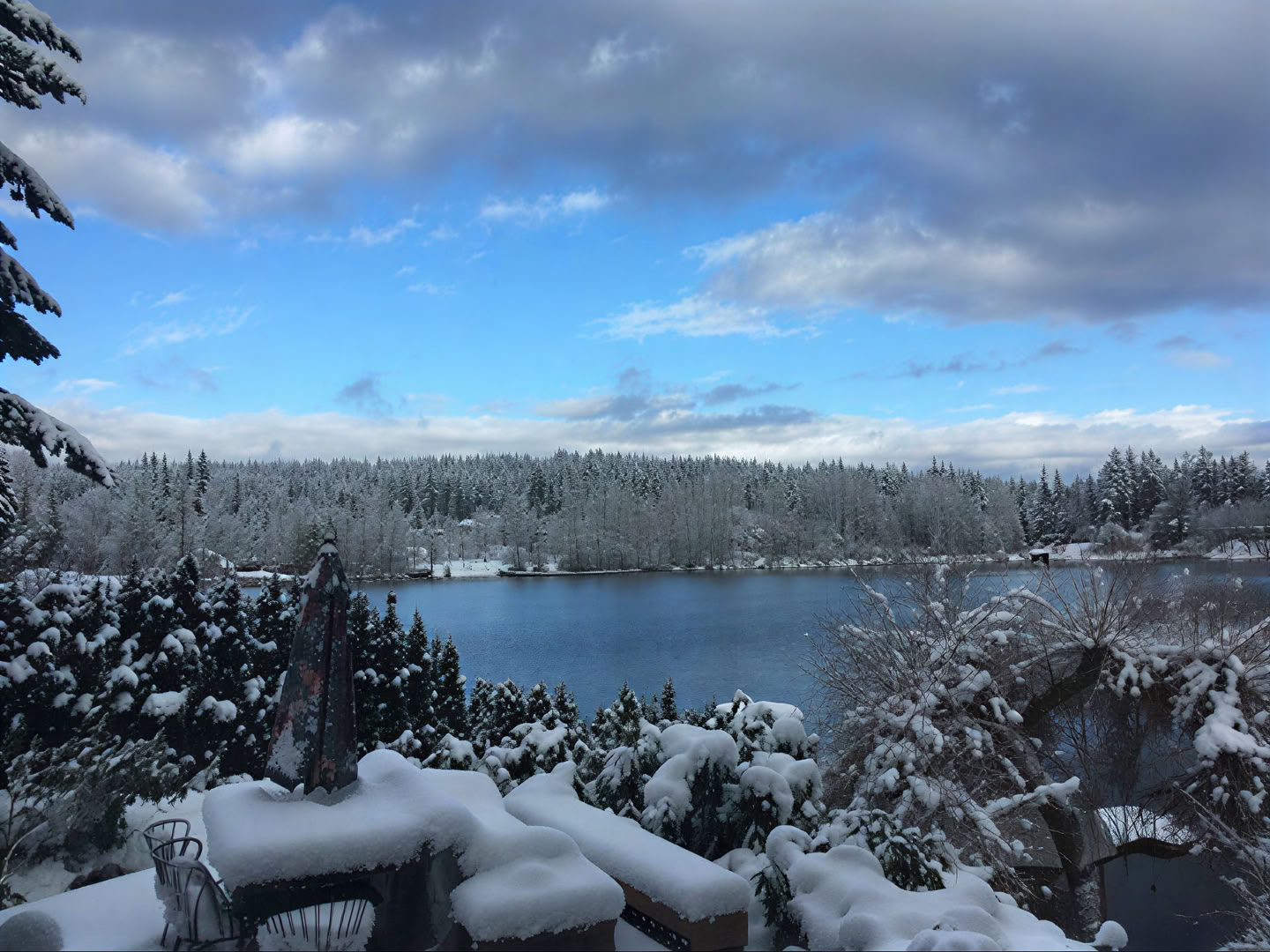 Spiritueel retraite in Cottage Lake Bed and Breakfast