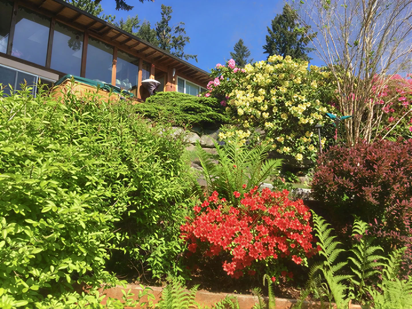 Spiritueel retraite in Cottage Lake Bed and Breakfast
