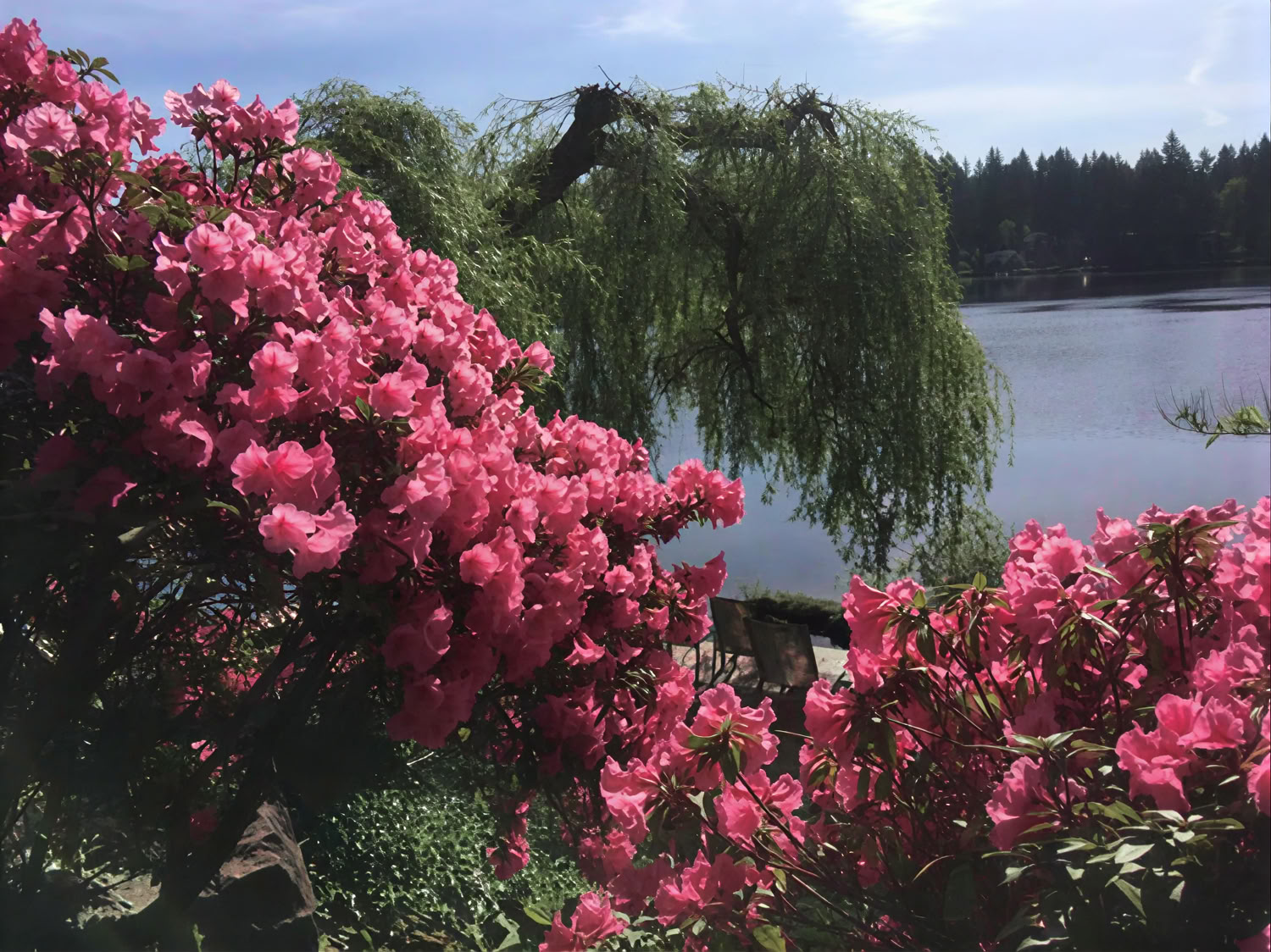 Spiritueel retraite in Cottage Lake Bed and Breakfast