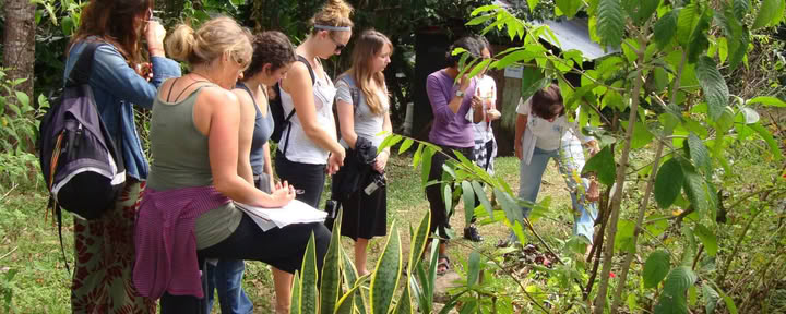 Kruidengeneeskunde- en yogaretreat: nieuwe datum 5-10 september 2026