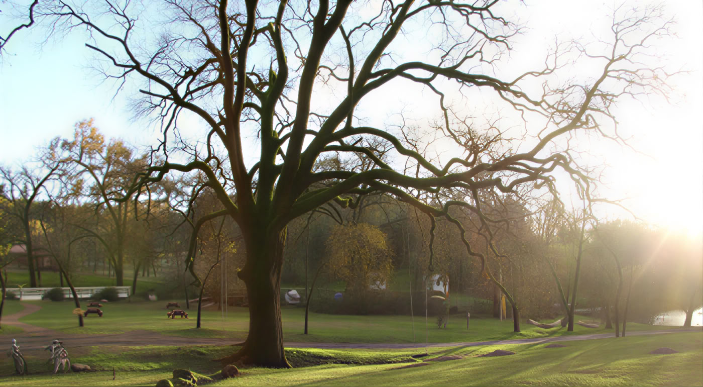 Ashram Heilige Tour – Introductie tot Sivananda-yoga