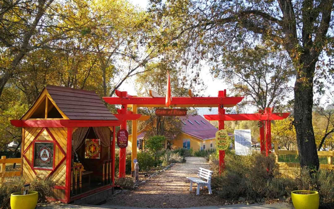 Ashram Heilige Tour – Introductie tot Sivananda-yoga