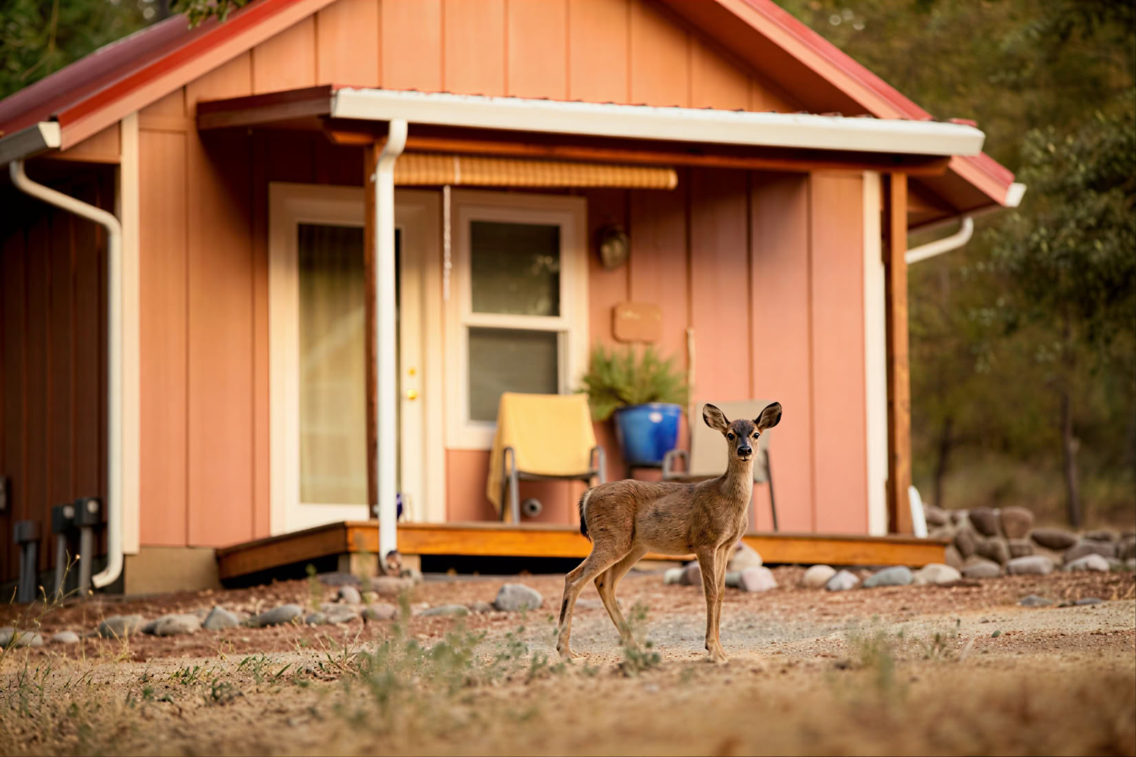 Ontdek de basisprincipes van het yogaleven