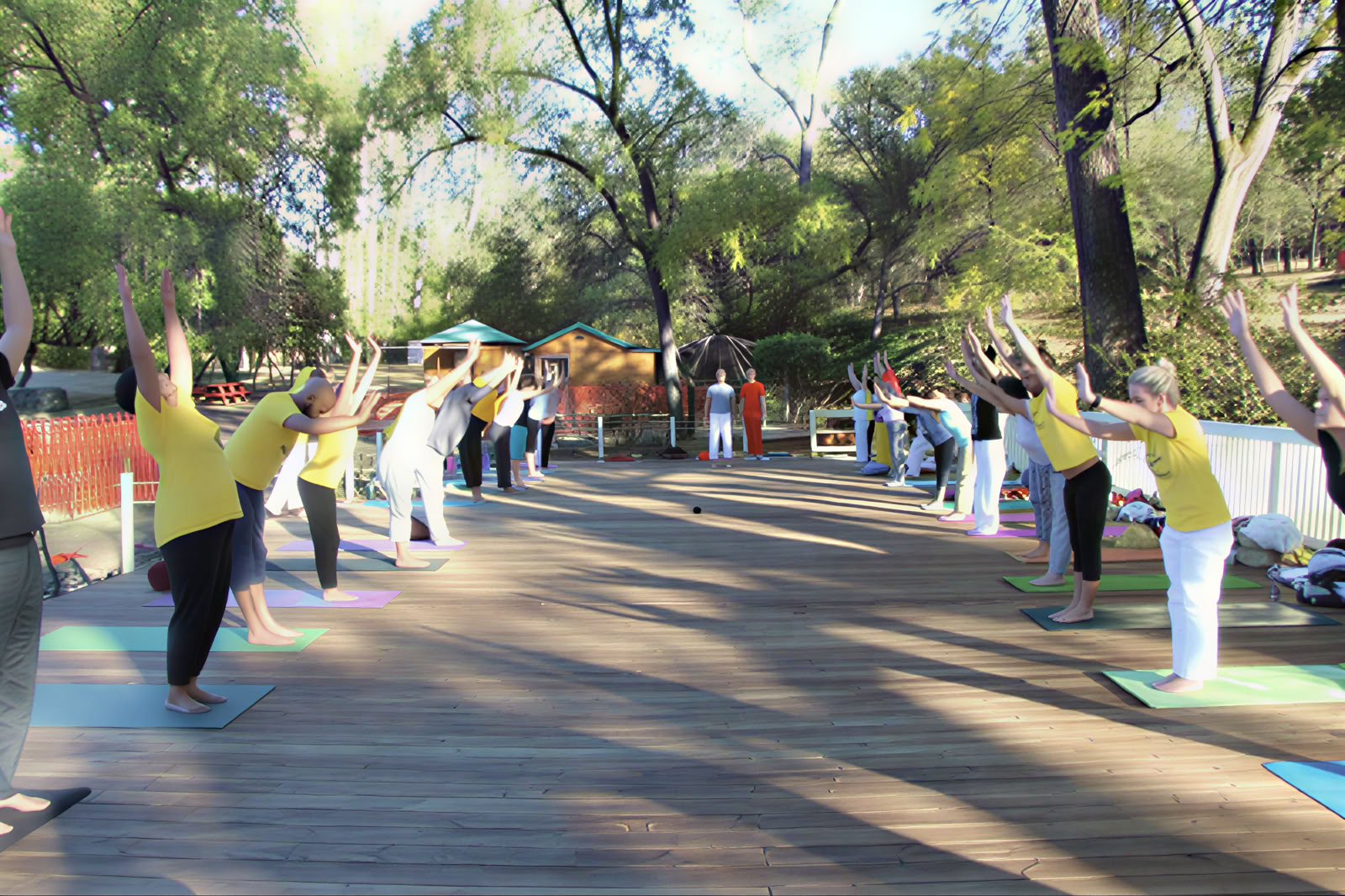 Yoga-lerarenopleiding – 17 okt. - 14 nov.