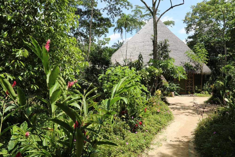 Leven in Afstemming: Ayahuasca Healing Retreat