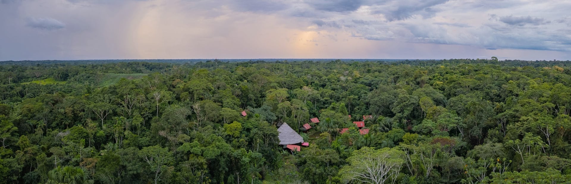 Ayahuasca Helingsretraite + 5-daagse Integratieretraite