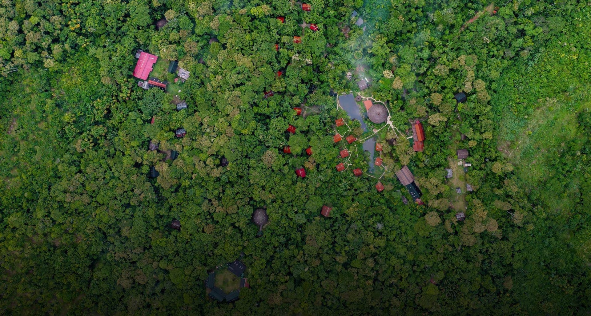 Ayahuasca Helingsretraite + 5-daagse Integratieretraite