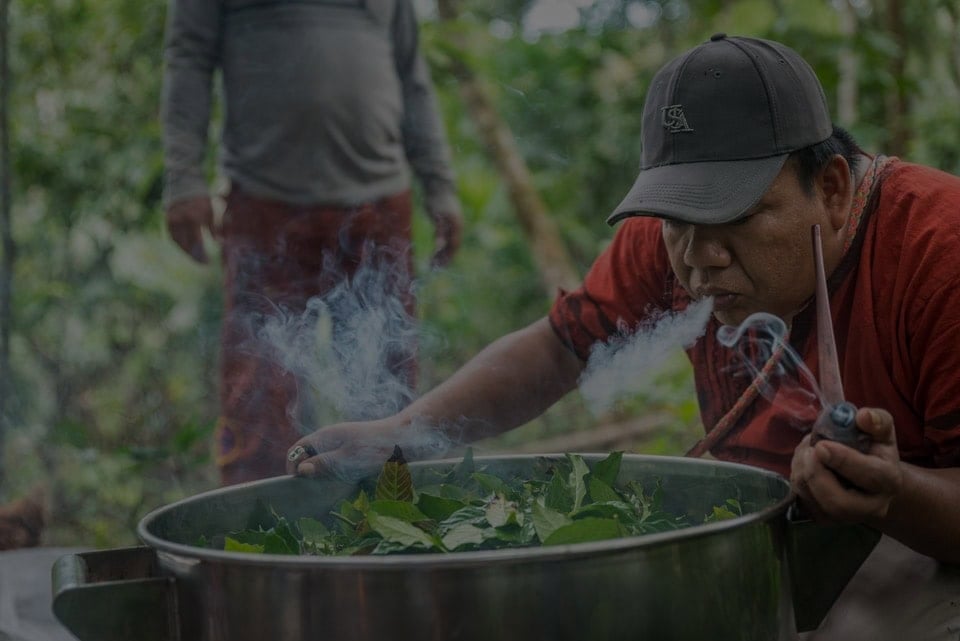 Ayahuasca Helingsretraite + 5-daagse Integratieretraite