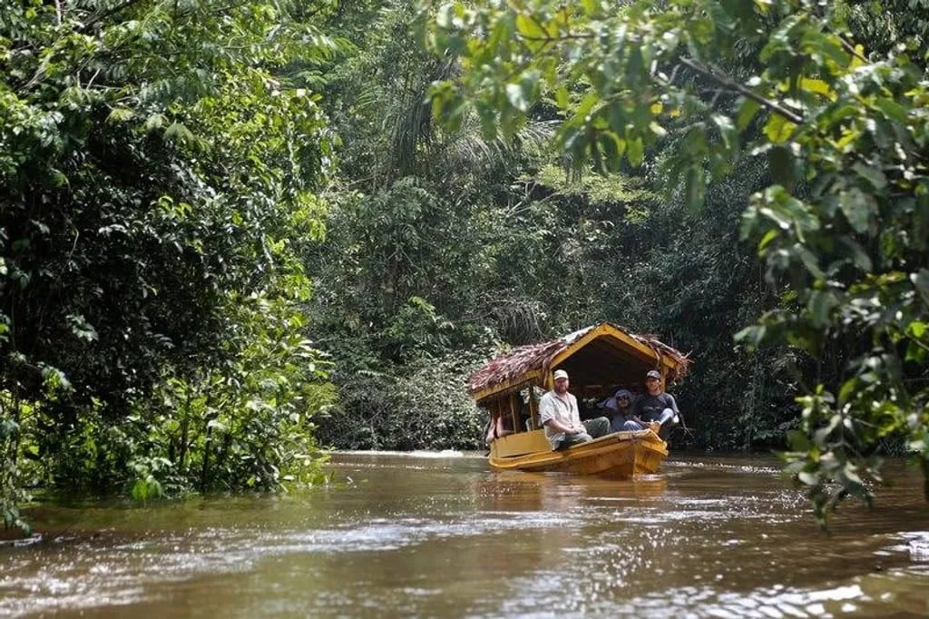 Ayahuasca Helingsretraite + 5-daagse Integratieretraite