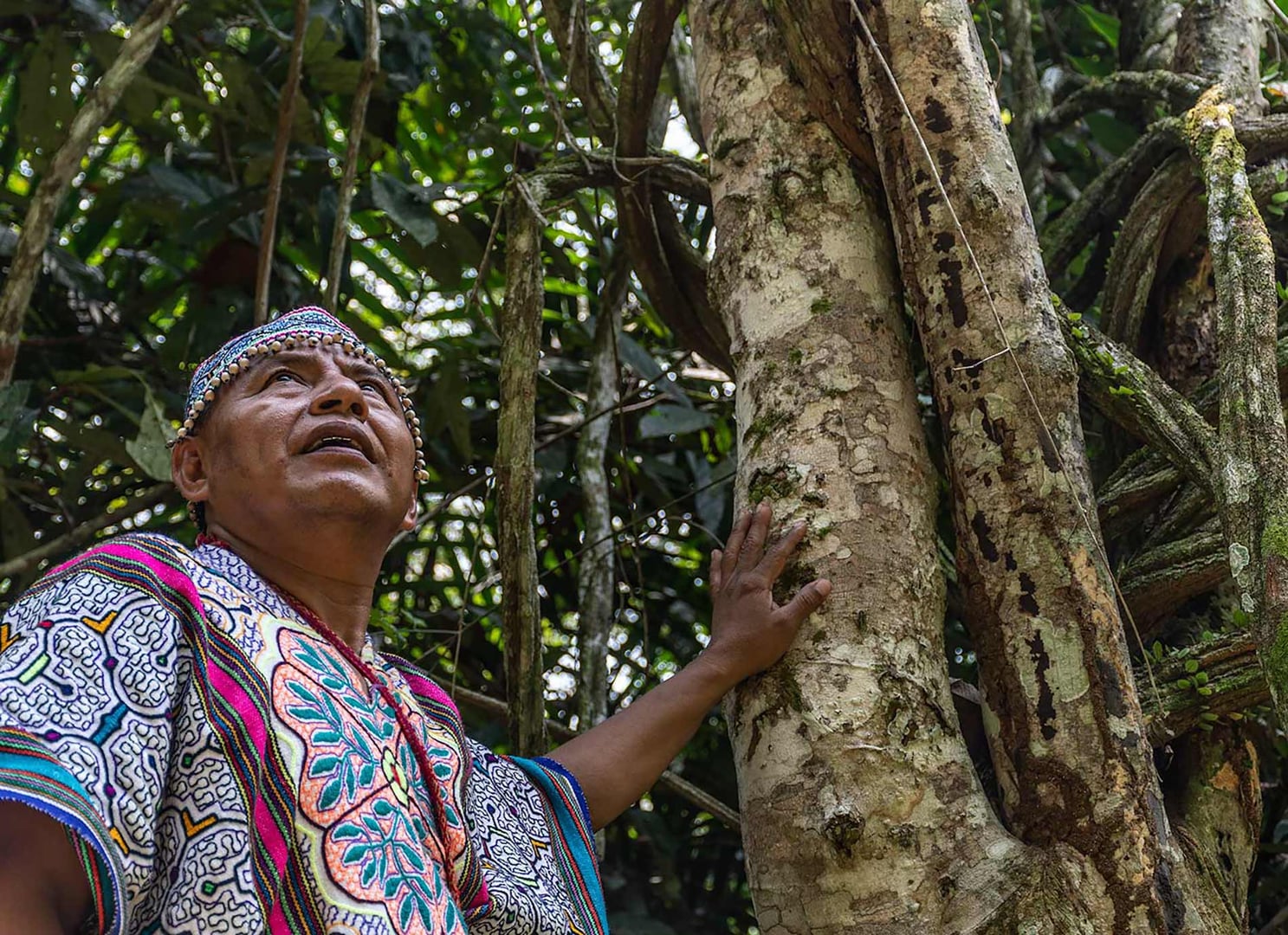 Ayahuasca-healingretraite voor vrouwen