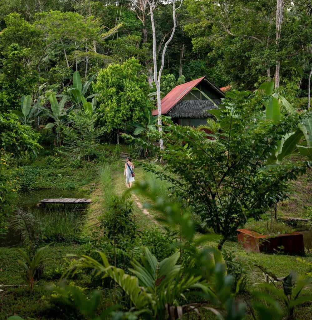 Ayahuasca-healingretraite voor vrouwen