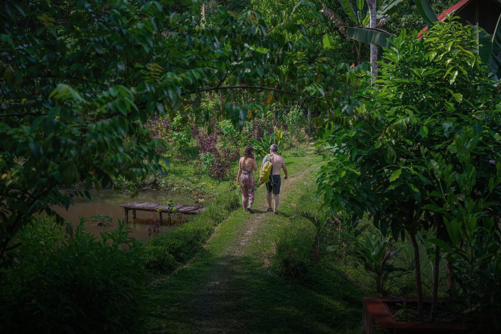 Ayahuasca-healingretraite voor vrouwen