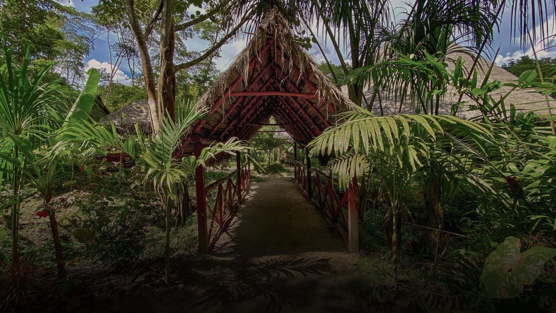 Ayahuasca-healingretraite voor vrouwen