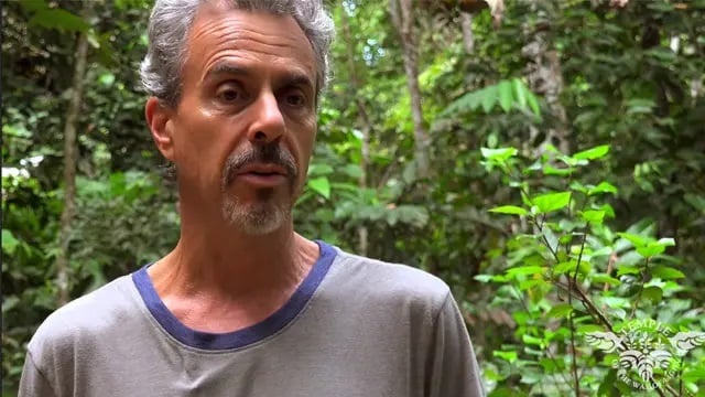 Ayahuasca-healingretraite voor vrouwen