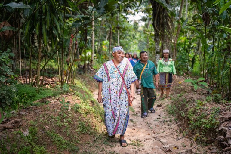 Ayahuasca-healingretraite voor vrouwen