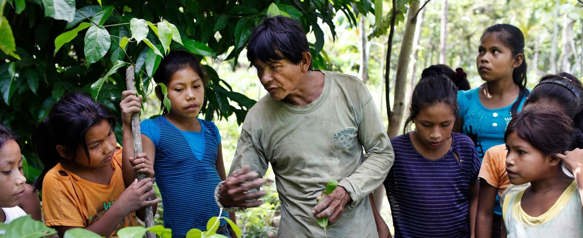 Leven in Afstemming Ayahuasca Helingsretreat + 5-daagse Integratieverlengingsretreat