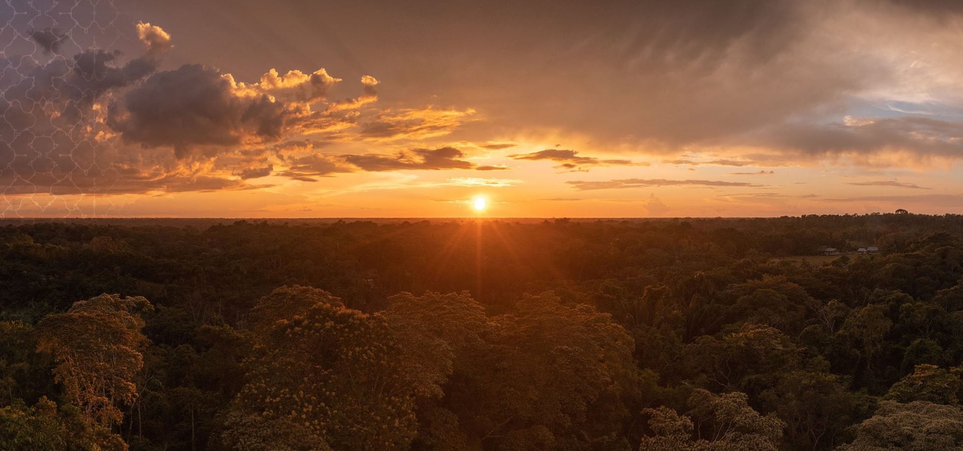 Leven in Afstemming Ayahuasca Helingsretreat + 5-daagse Integratieverlengingsretreat