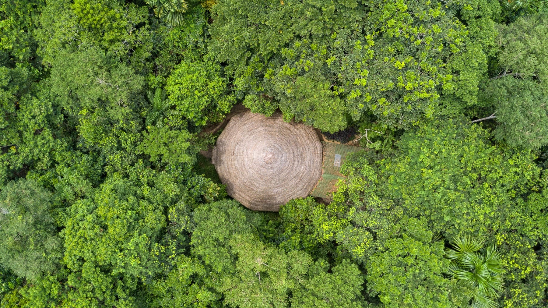 Traditionele plantendiëten bij Shipibo Rao