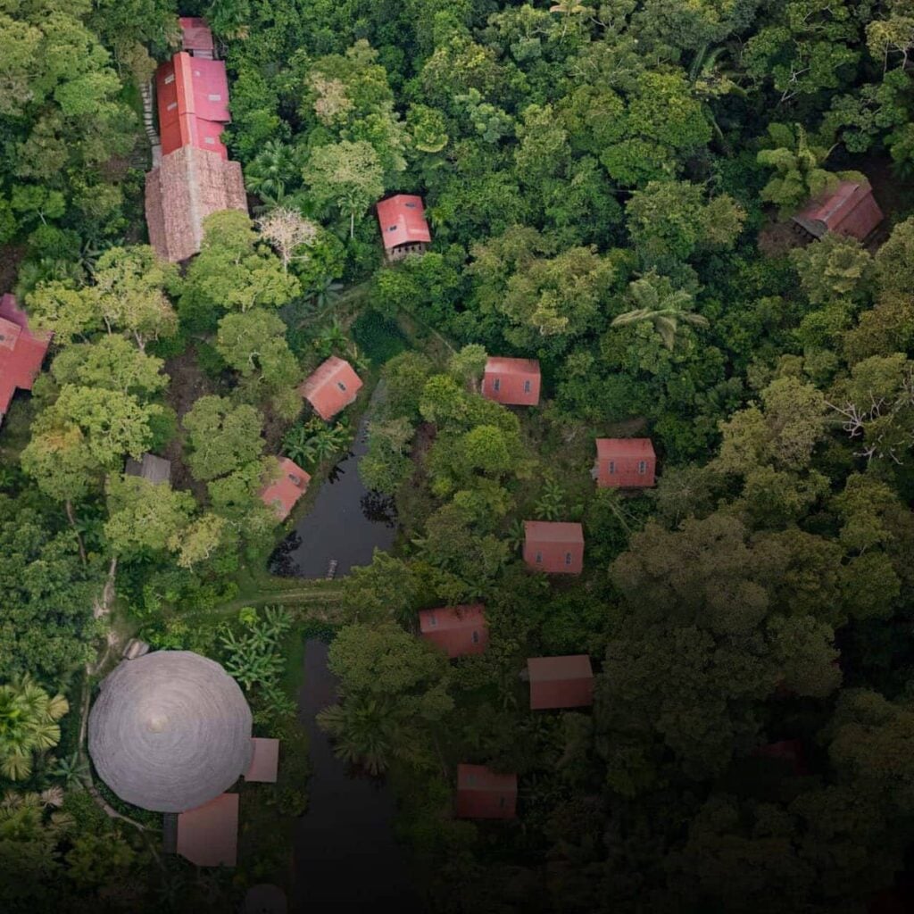 Traditionele plantendiëten bij Shipibo Rao