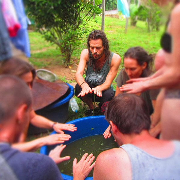 8-week ayahuasca-initiatiecursus