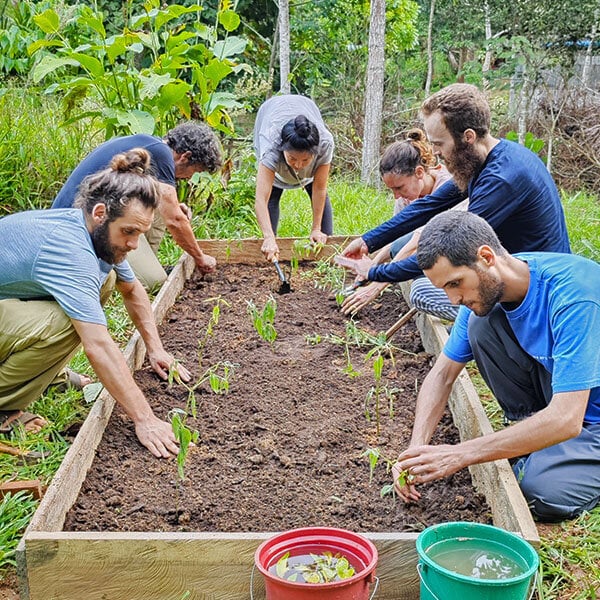 Achtweekse Shipibo-ayahuasca-inwijdingscursus in Peru – 4 oktober - 28 november 2026