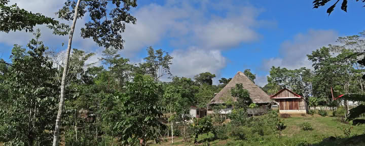 Achtweekse Shipibo-ayahuasca-inwijdingscursus in Peru – 4 oktober - 28 november 2026