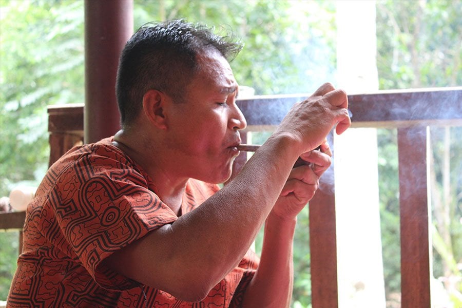 Shipibo Ayahuasca-retreat en plantendieet