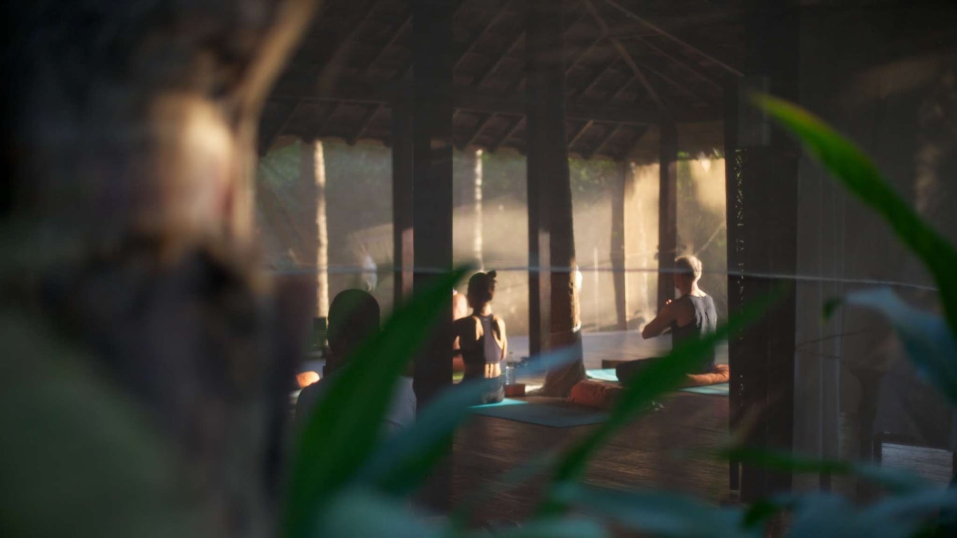 Yoga-retraite Vuur en Nectar in Goa, India
