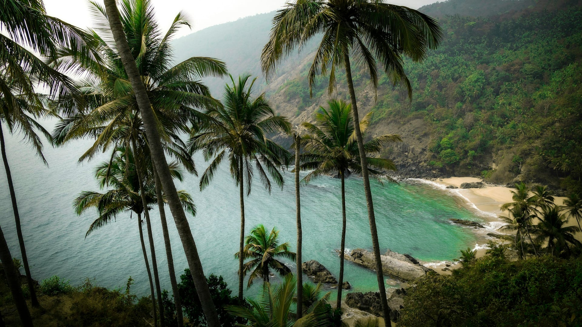 Yoga-retraite Vuur en Nectar in Goa, India