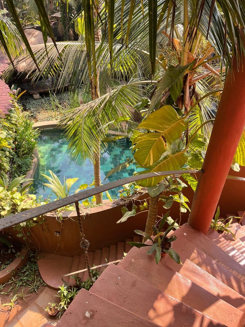 Yoga-retraite Vuur en Nectar in Goa, India