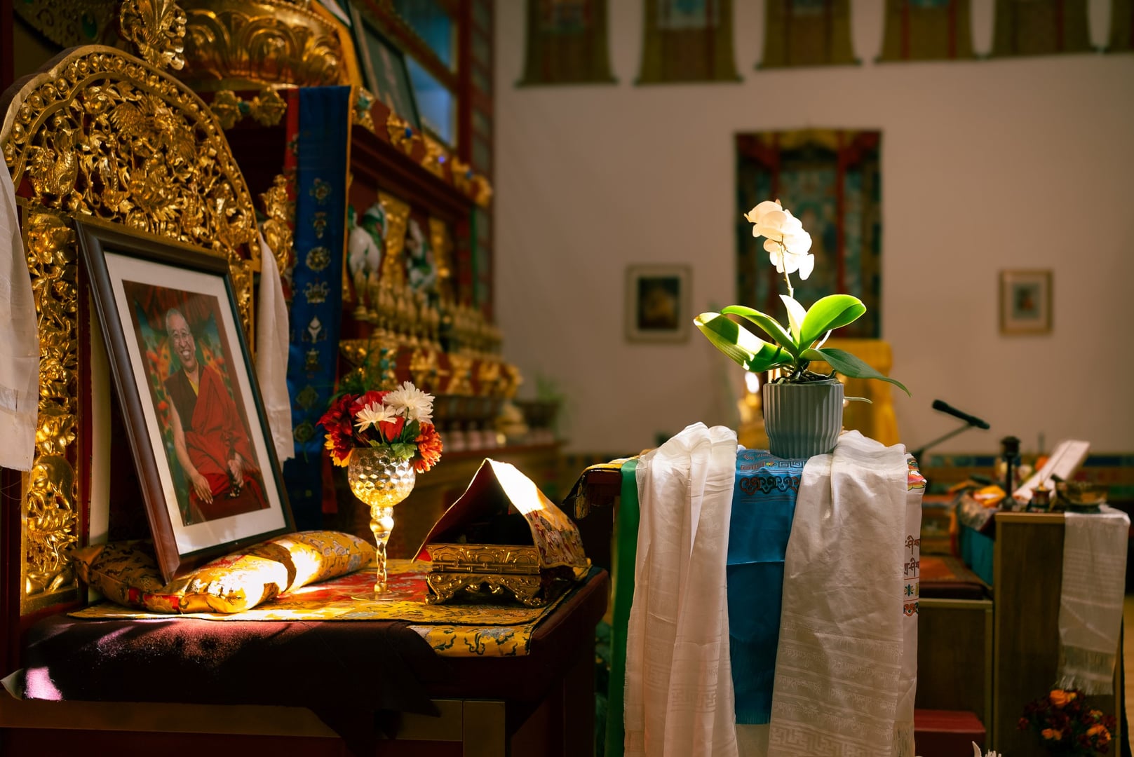 Milarepa: Leer van het opmerkelijke leven van een Tibetaanse yogi met Ani Lodro