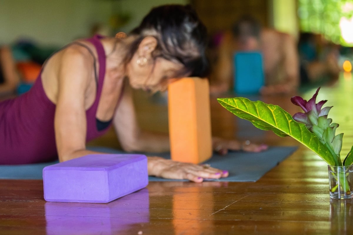 Herstellende yoga- en meditatieopleiding