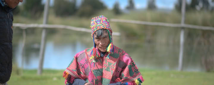 Spirituele cocablad-orakellezing met sjamanistische genezer uit de Andes