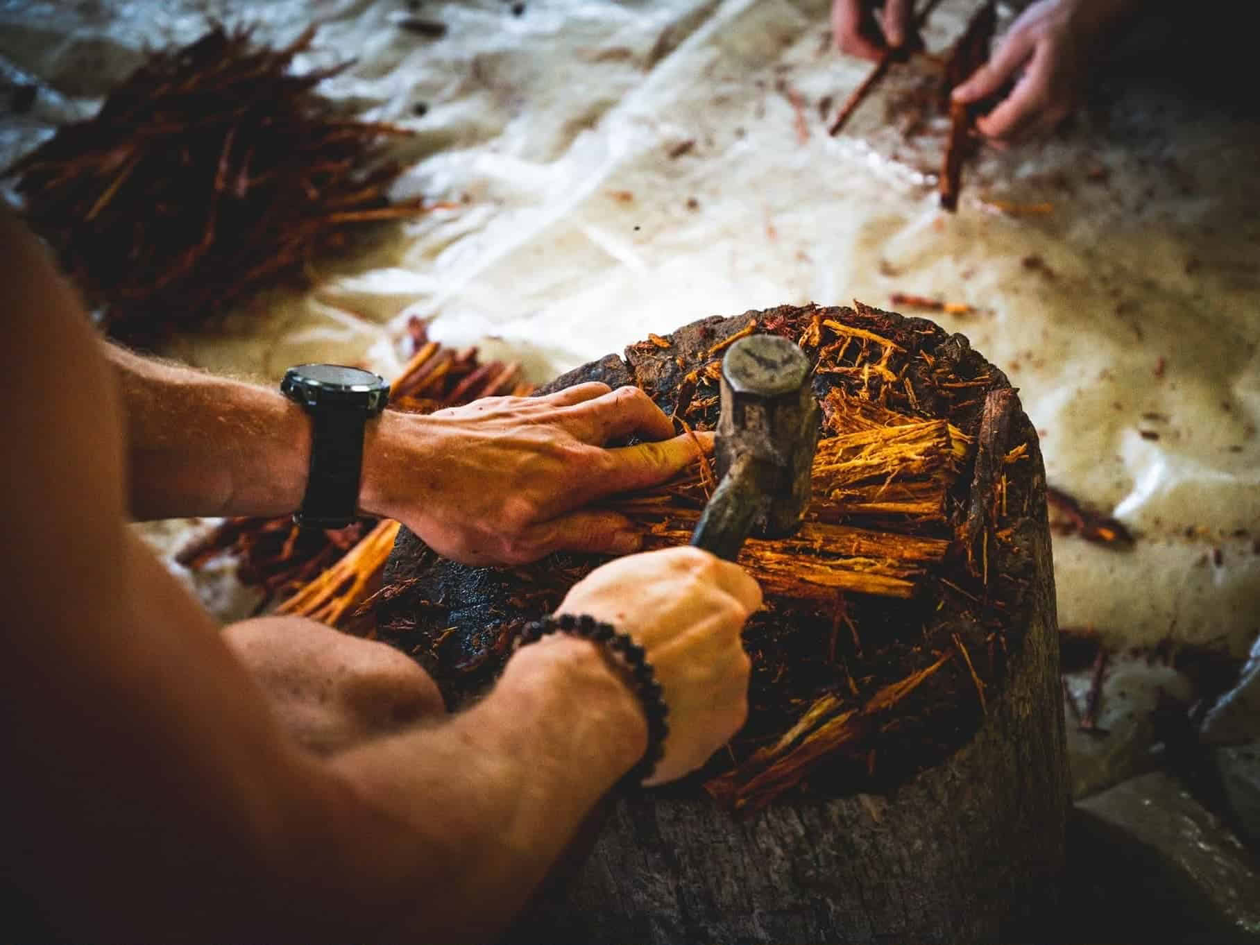 5-daagse ayahuasca-retreat in Ecuador