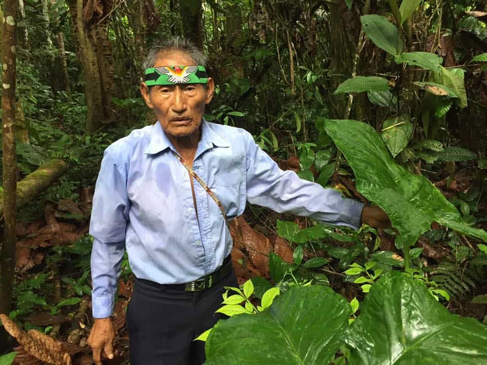 5-daagse ayahuasca-retreat in Ecuador