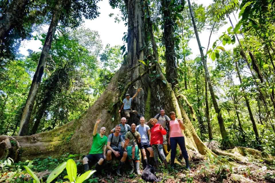 5-daagse ayahuasca-retreat in Ecuador