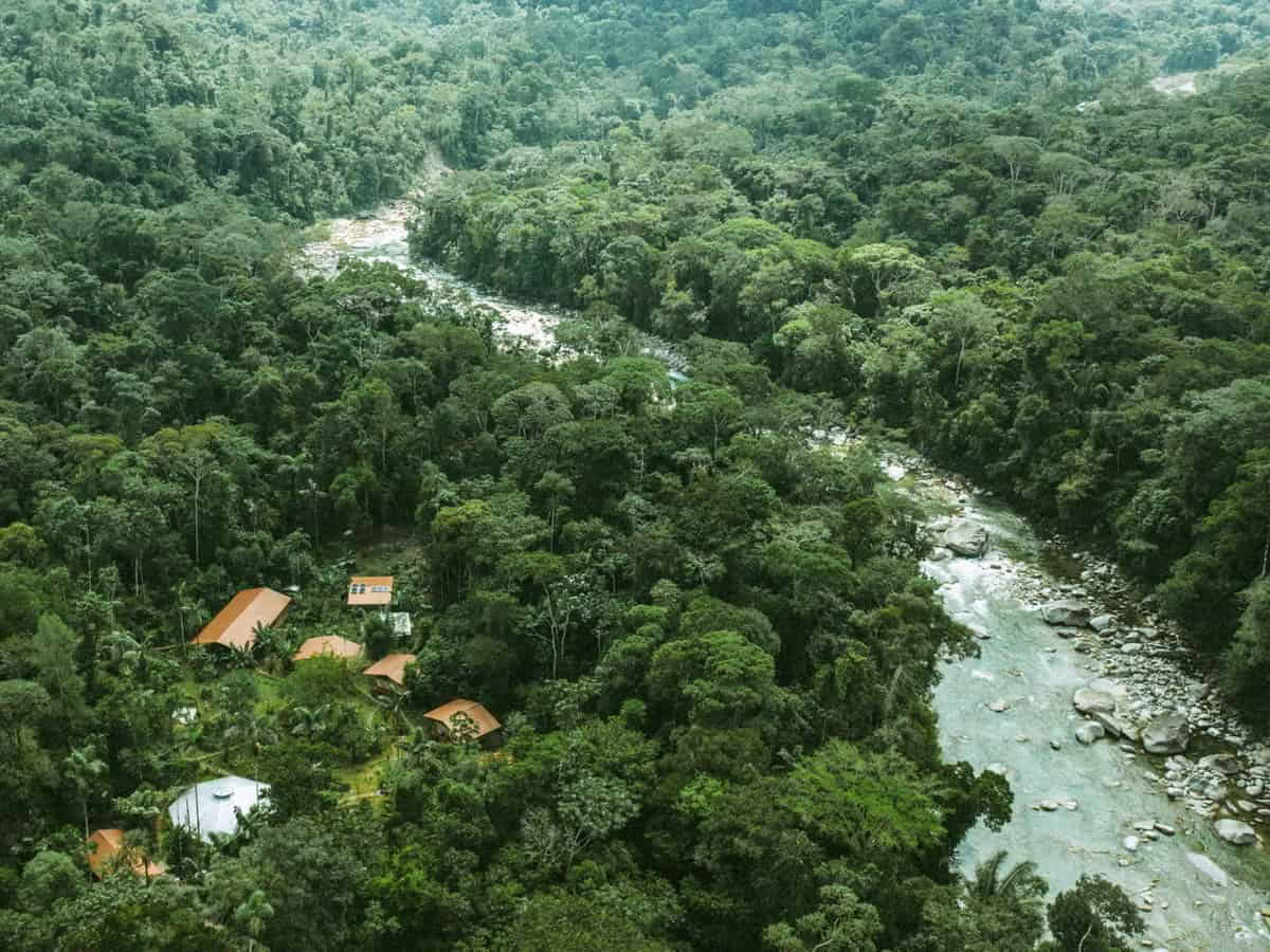 5-daagse ayahuasca-retreat in Ecuador