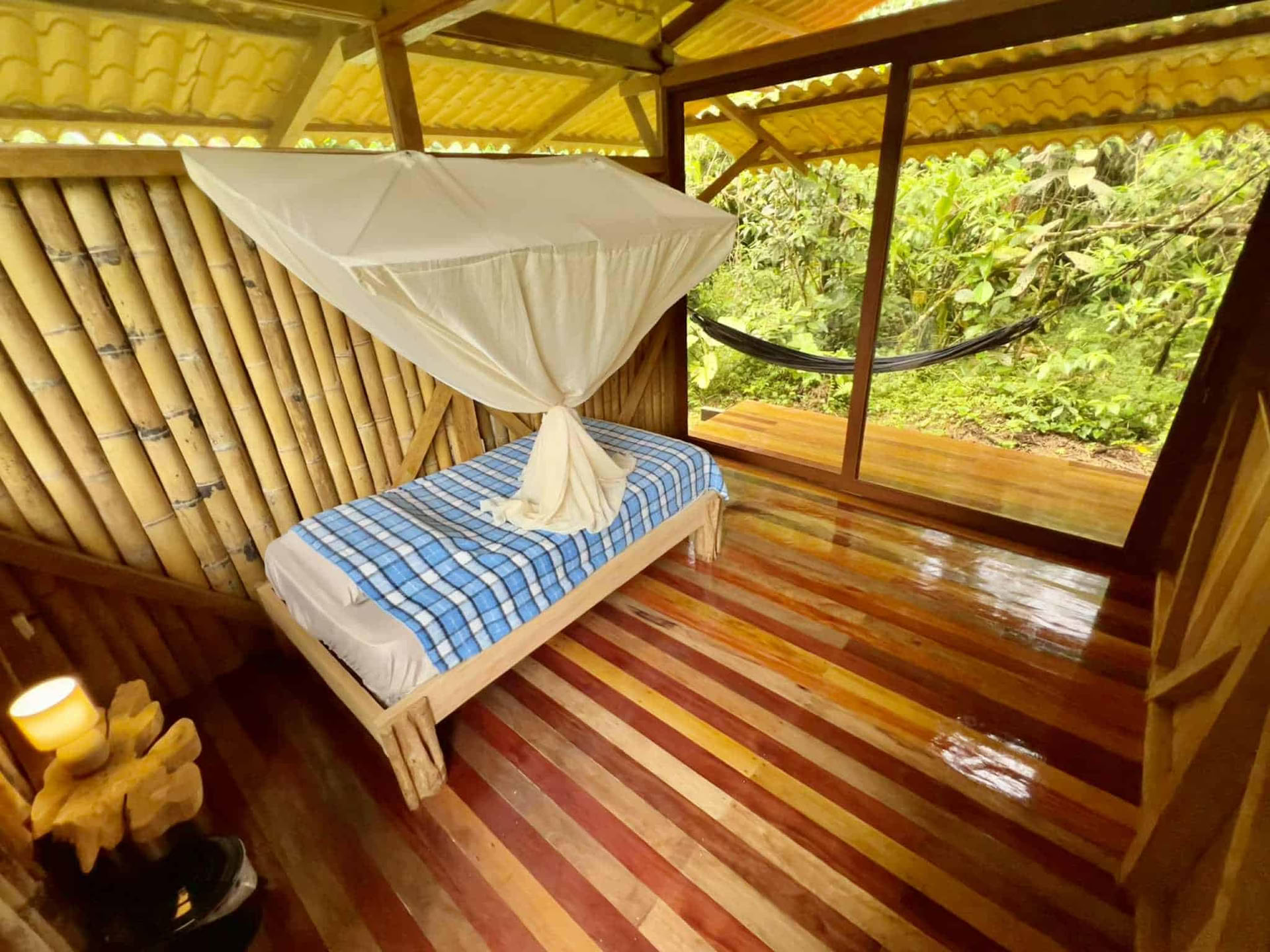 5-daagse ayahuasca-retreat in Ecuador