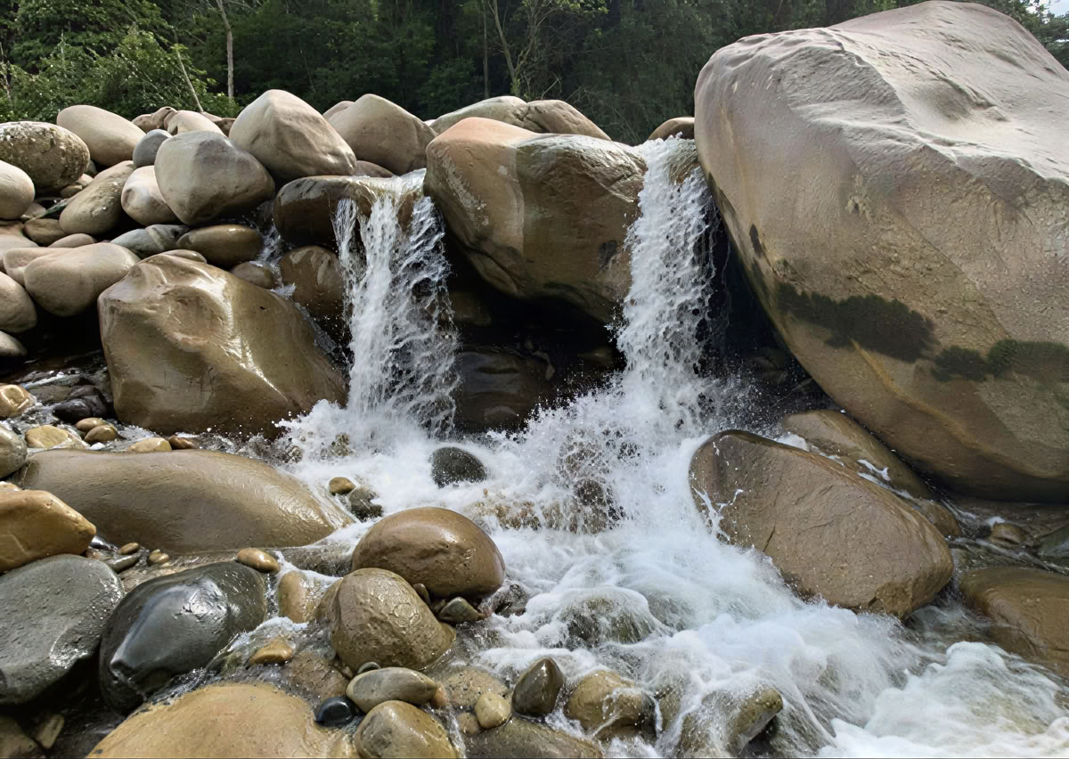 5-daagse ayahuasca-retreat in Ecuador