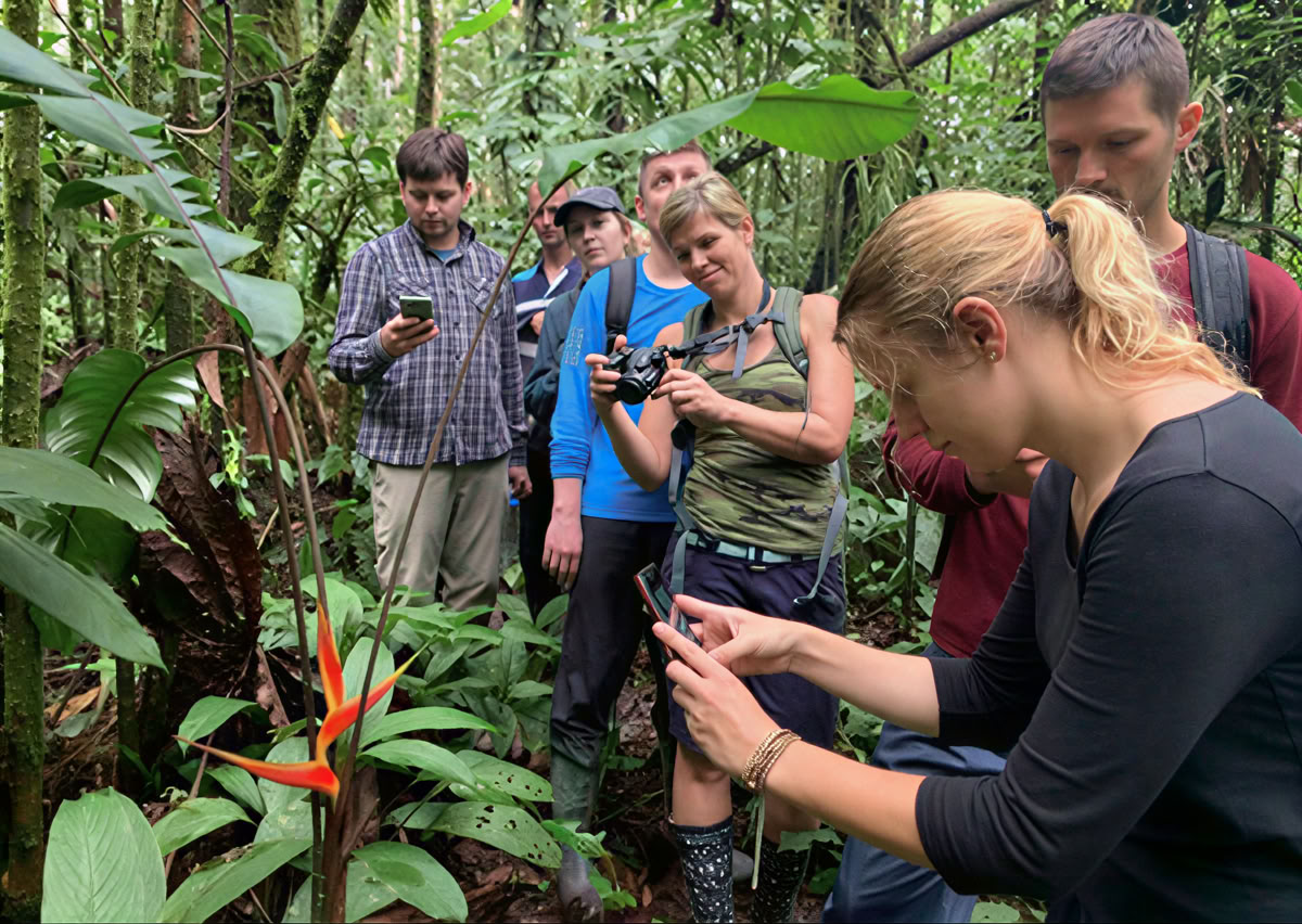 5-daagse ayahuasca-retreat in Ecuador
