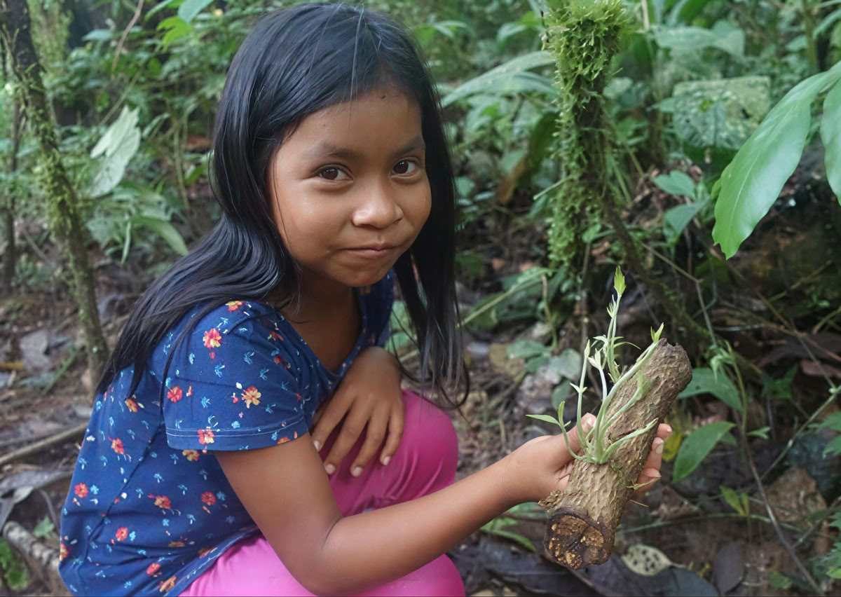 5-daagse ayahuasca-retreat in Ecuador