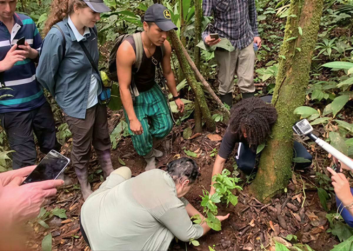 5-daagse ayahuasca-retreat in Ecuador